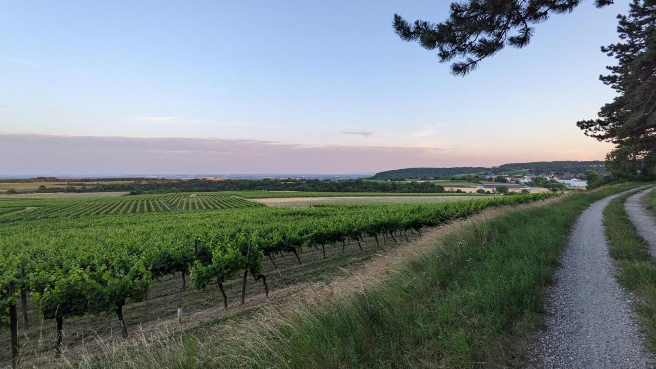 Les Gites De Cour Remond Villers-la-Faye Exteriör bild