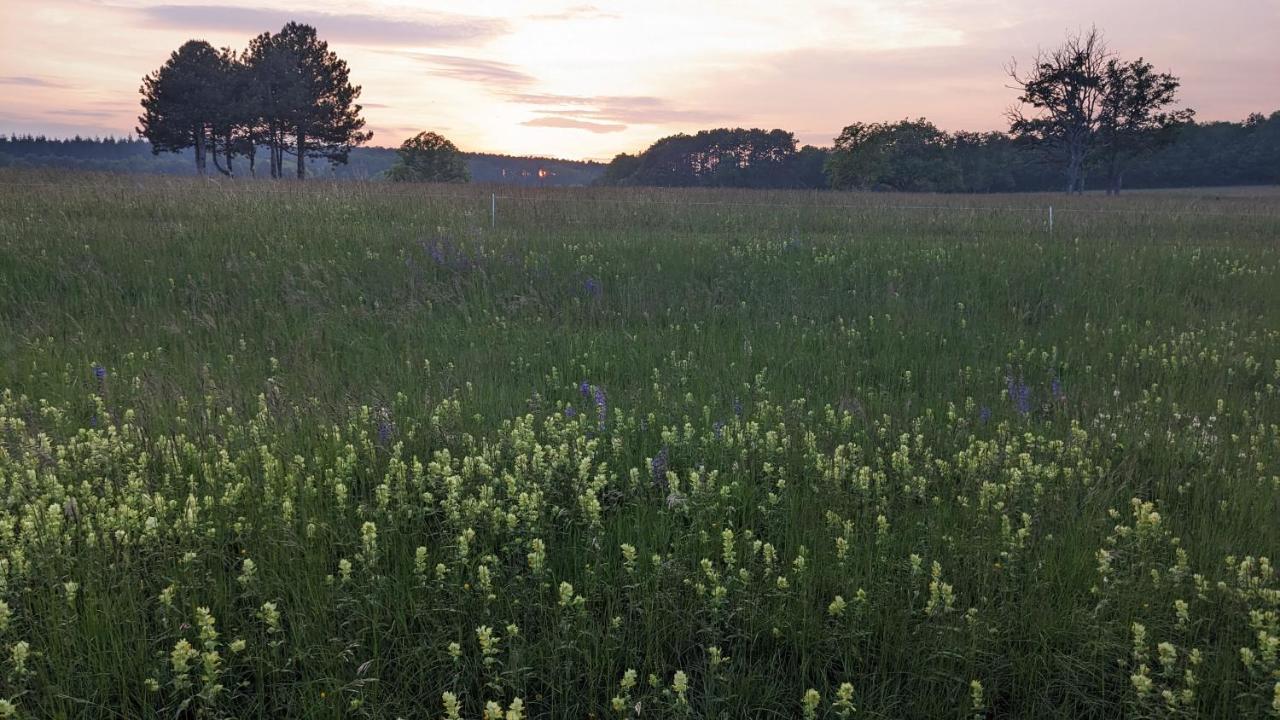 Les Gites De Cour Remond Villers-la-Faye Exteriör bild